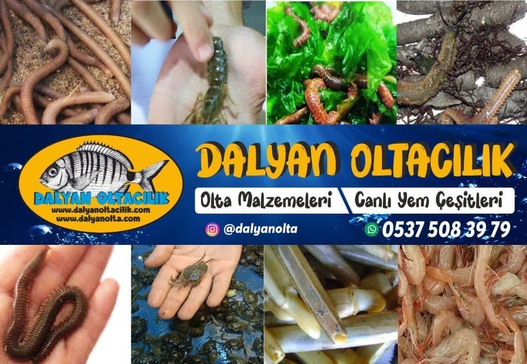 Online Canlı Yem Siparişi Güvenli mi?